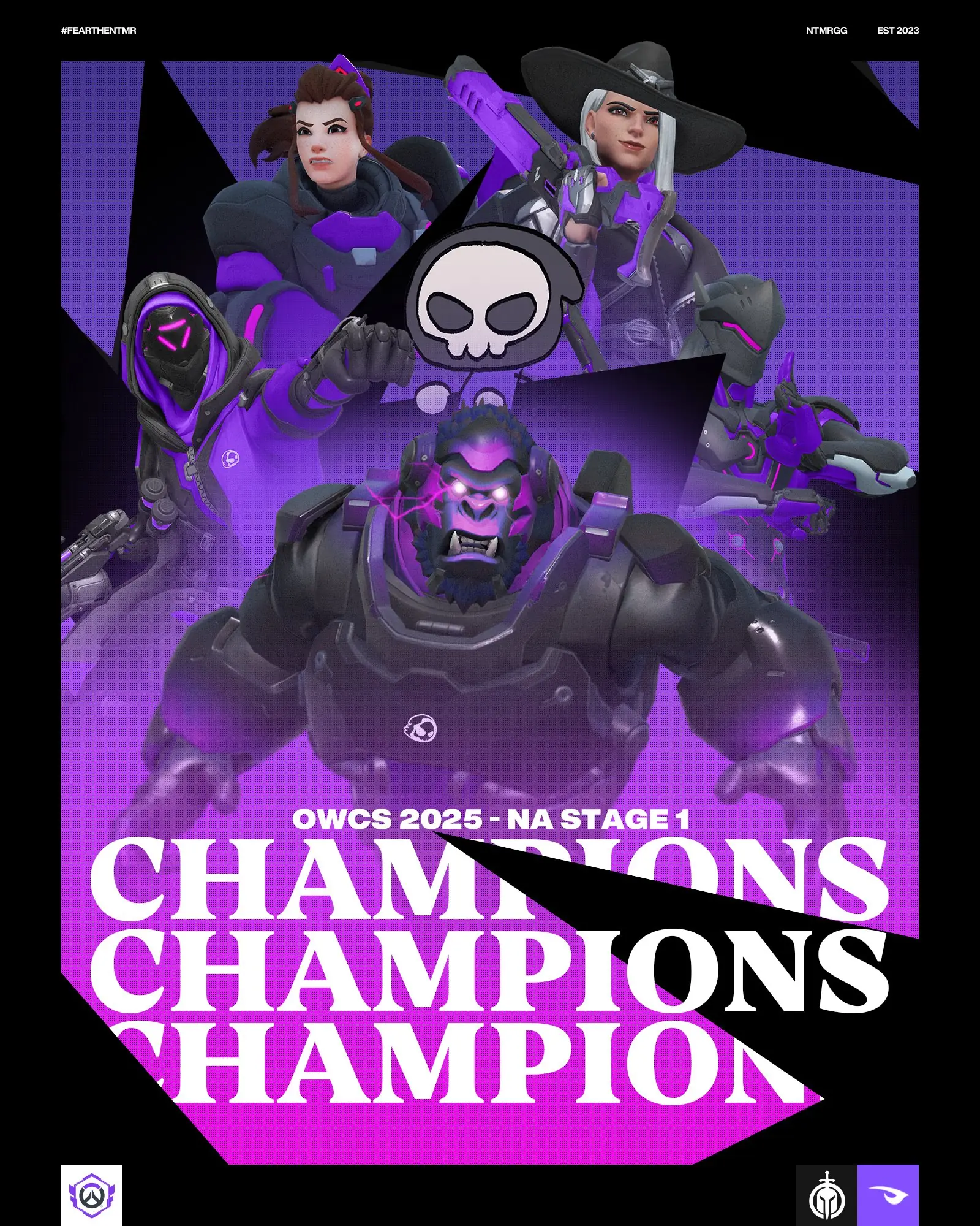 NTMR esports site hero